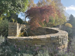 Deer Park Delight 19