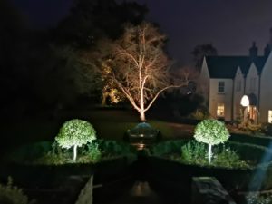 Deer Park Delight 2