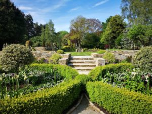 Deer Park Delight 21