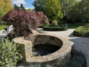 Deer Park Delight 22