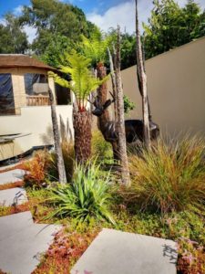 Pinnacles of Joy - home and garden design in Worcester and Cheltenham 12