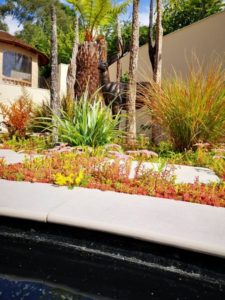 Pinnacles of Joy - home and garden design in Worcester and Cheltenham 13