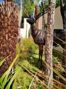 Pinnacles of Joy - home and garden design in Worcester and Cheltenham 18