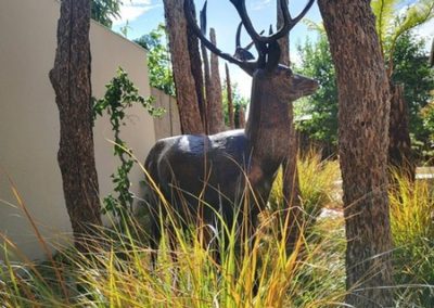 Pinnacles of Joy - home and garden design in Worcester and Cheltenham 19