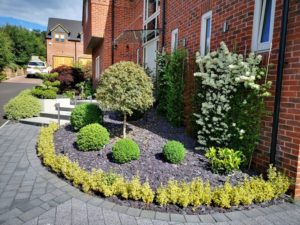 Pinnacles of Joy - home and garden design in Worcester and Cheltenham 28