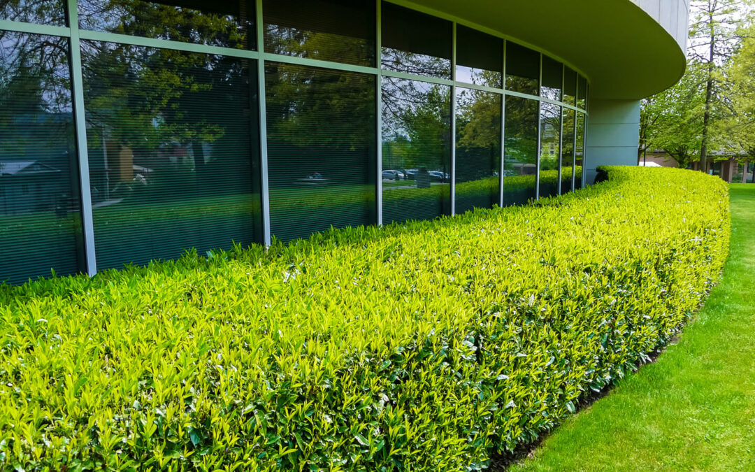 The Secret to Effective Commercial Landscape Design