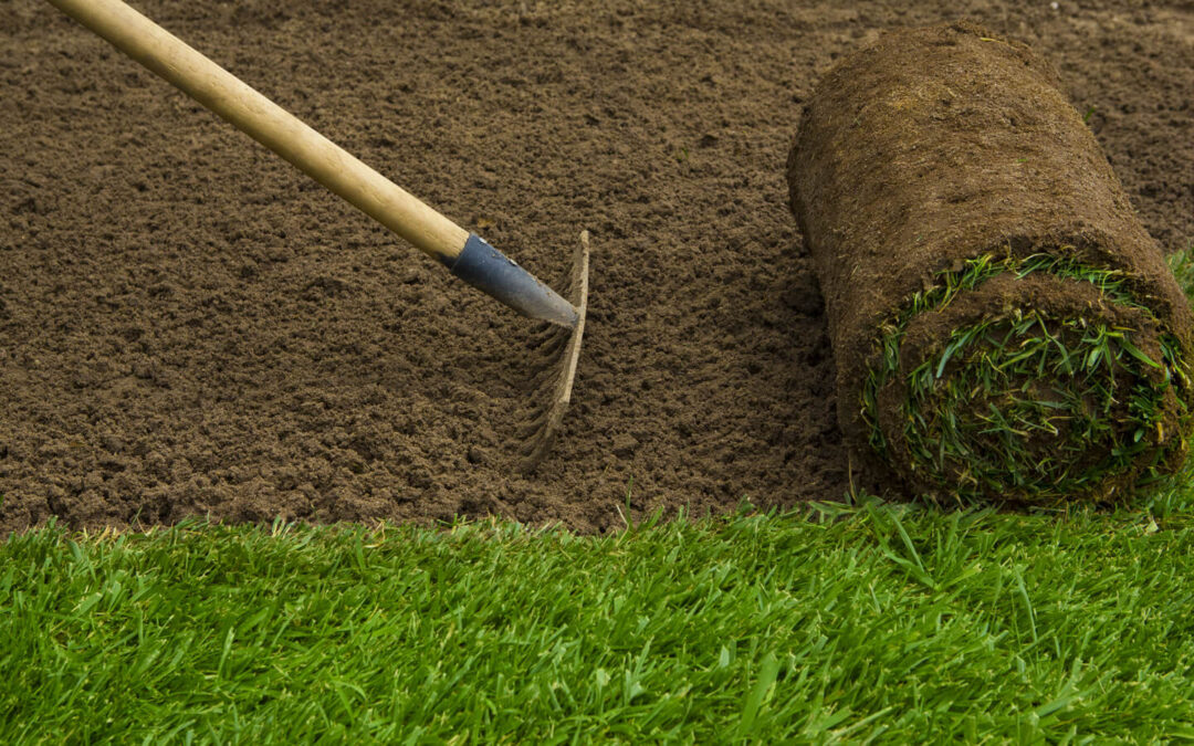 What Do Landscapers Do? A Full Guide