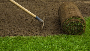 Landscapers in Worcester