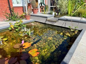 On Golden Pond